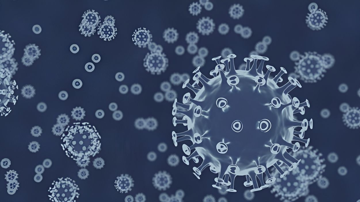 Grafische Darstellung von Viren in blauer Farbgebung - Symbolbild für Infektionskrankheiten Immunsystem oder antivirale Therapien
